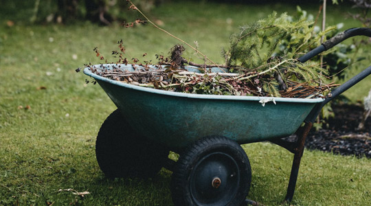Garden Maintenance