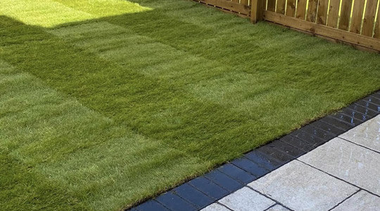 Turfing & Artificial Grass